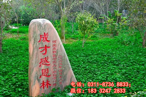 石家莊冀聯(lián)醫(yī)學(xué)院哪些專業(yè)能升學(xué)？