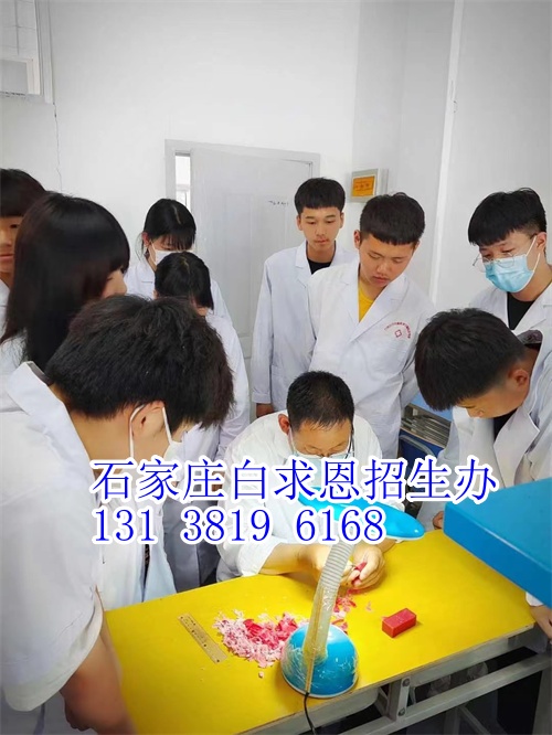 石家莊白求恩醫(yī)學(xué)中專學(xué)?？谇粚I(yè)怎么樣？