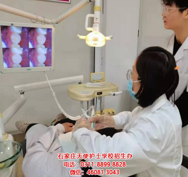 成為牙醫(yī)行業(yè)的精英：石家莊天使護士學(xué)校2024年春季口腔專業(yè)招生簡章發(fā)布