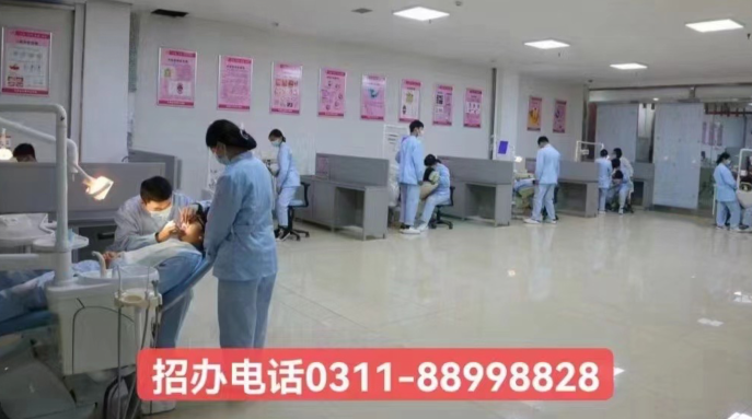 成就牙醫(yī)夢想：石家莊天使護士學(xué)校2024年春季口腔專業(yè)招生簡章詳解